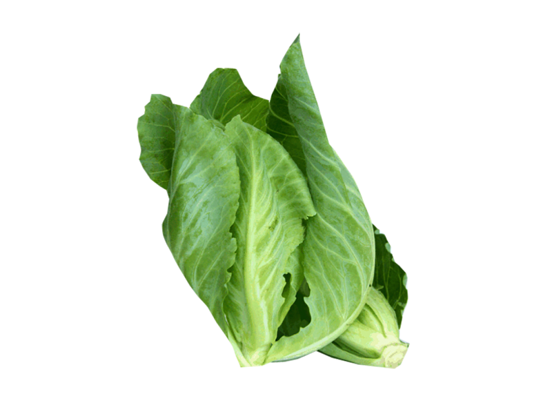 Baby Kailan Thai (泰国菜旦)